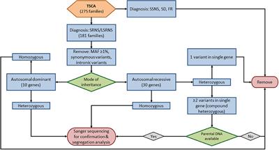 Genetic Testing for Steroid-Resistant-Nephrotic Syndrome in an Outbred Population